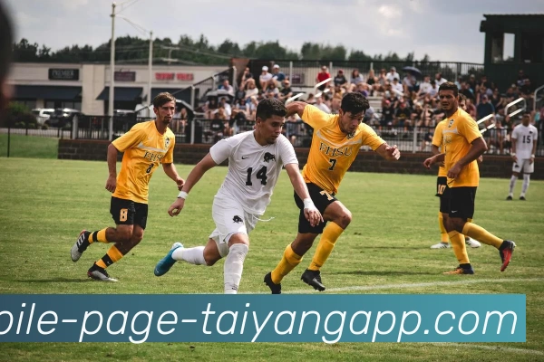 太阳城平台生态图